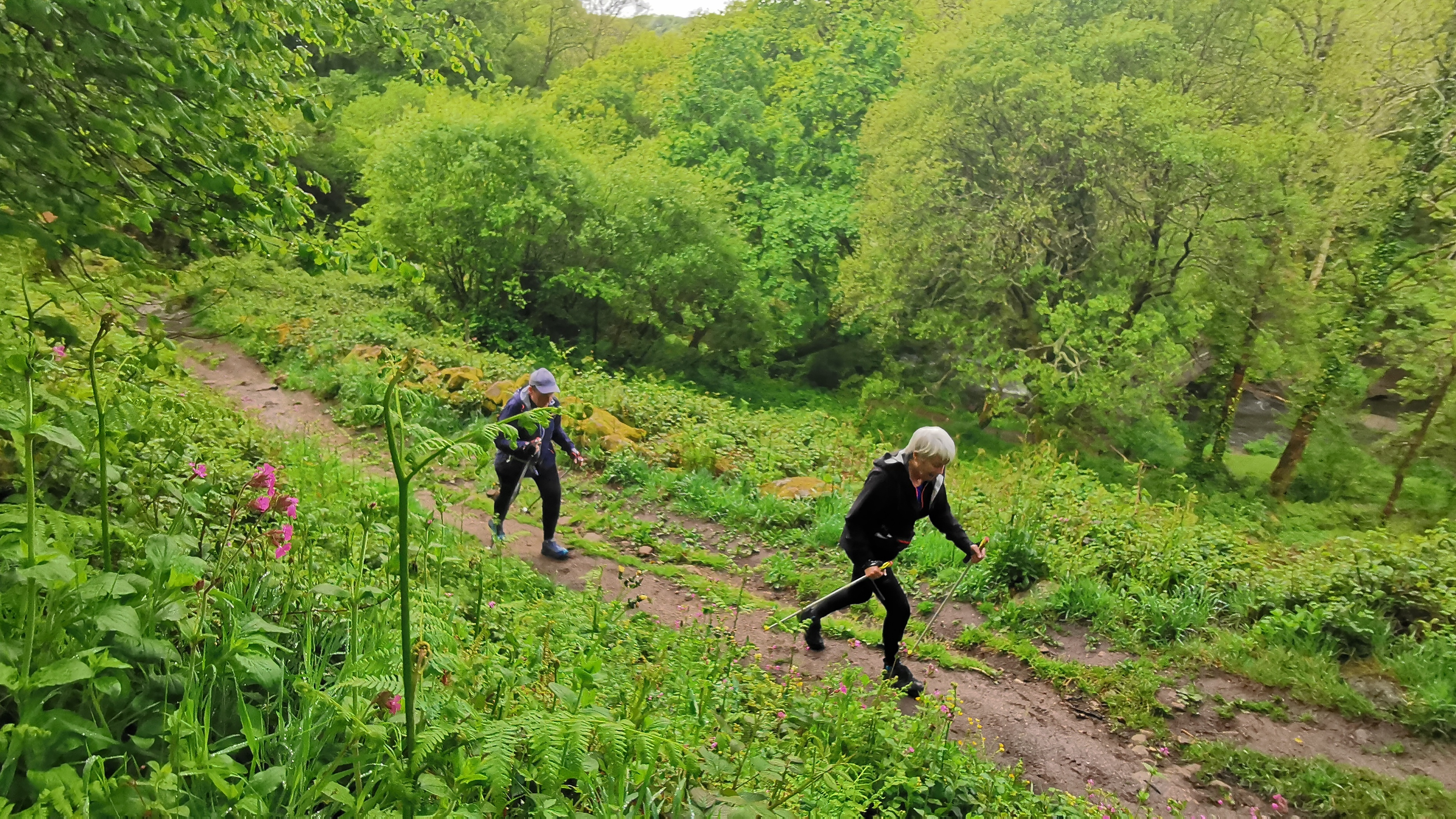 059-IMG_20210513_103309