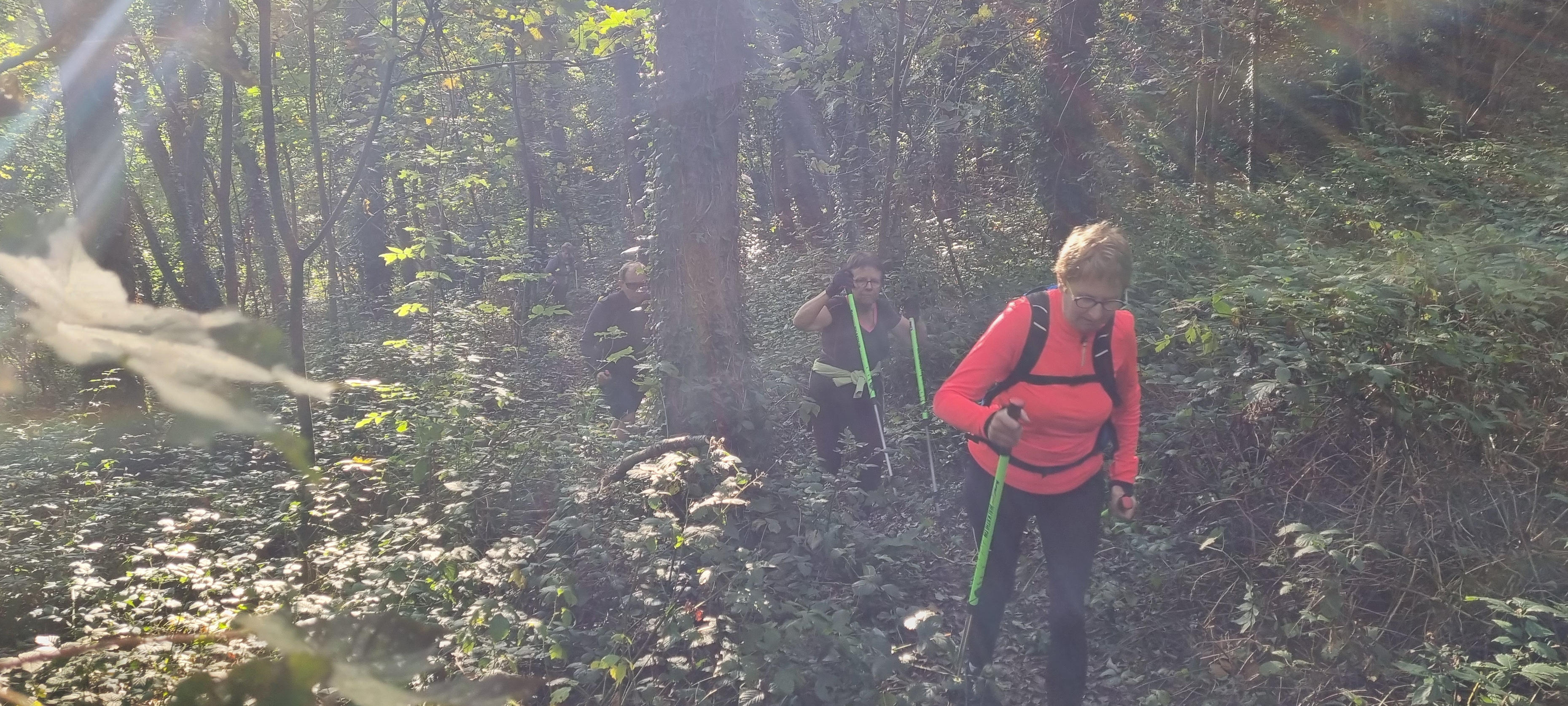 26-20211011_105656(0)