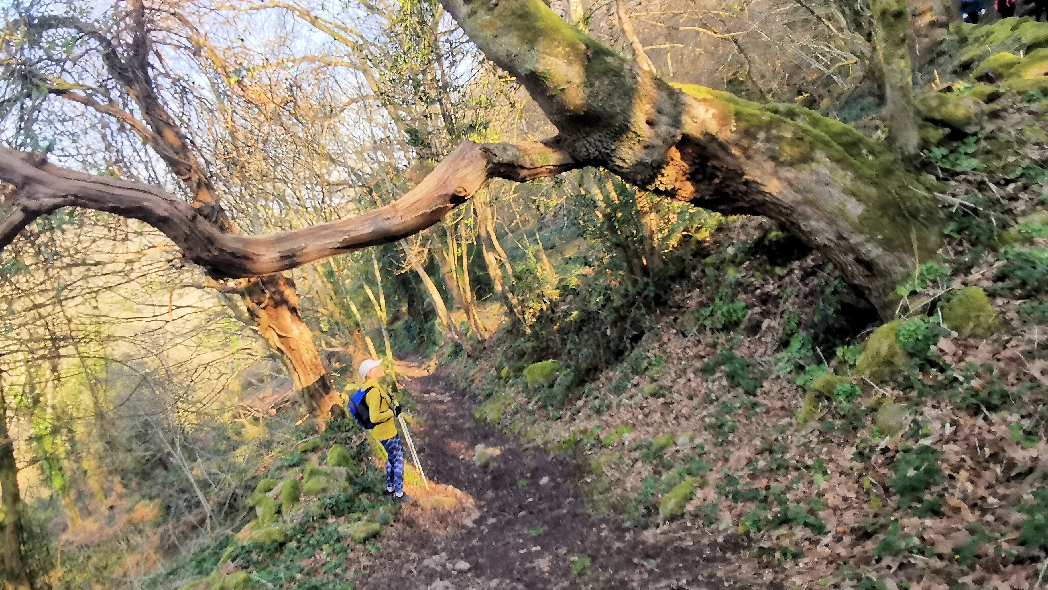 46-IMG_20210307_103754