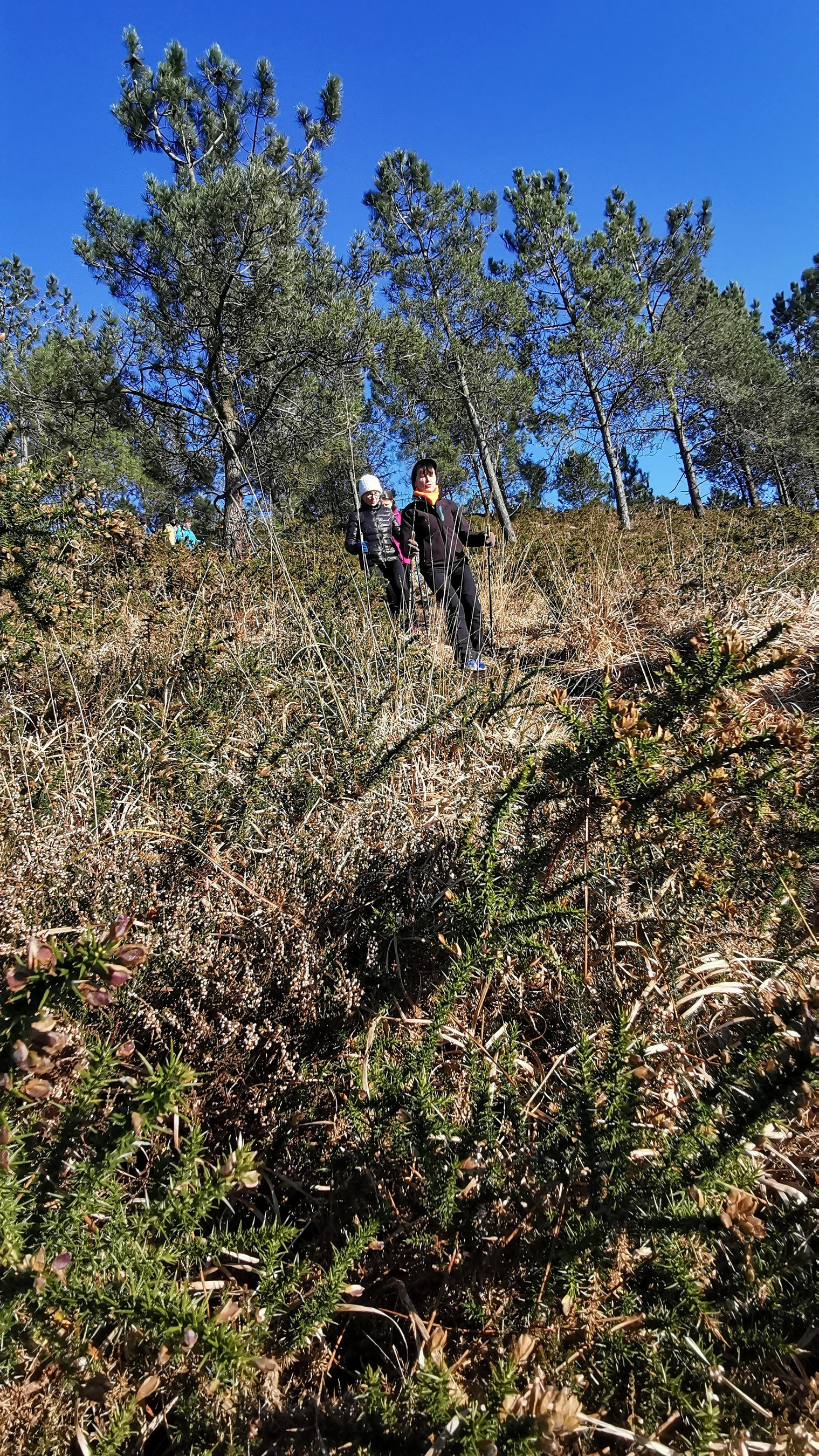 149-IMG_20210110_114002