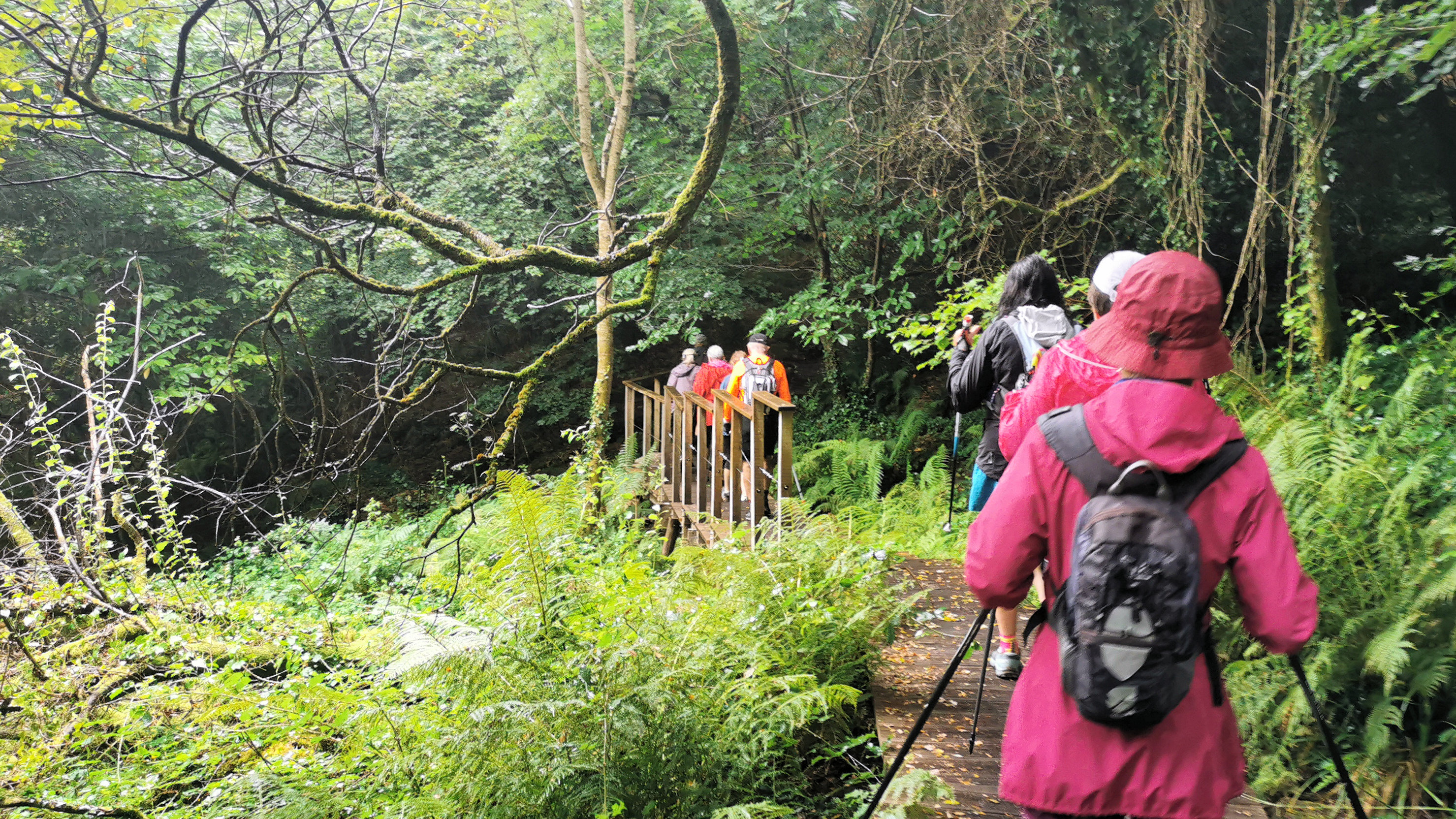 088-IMG_20210819_104730