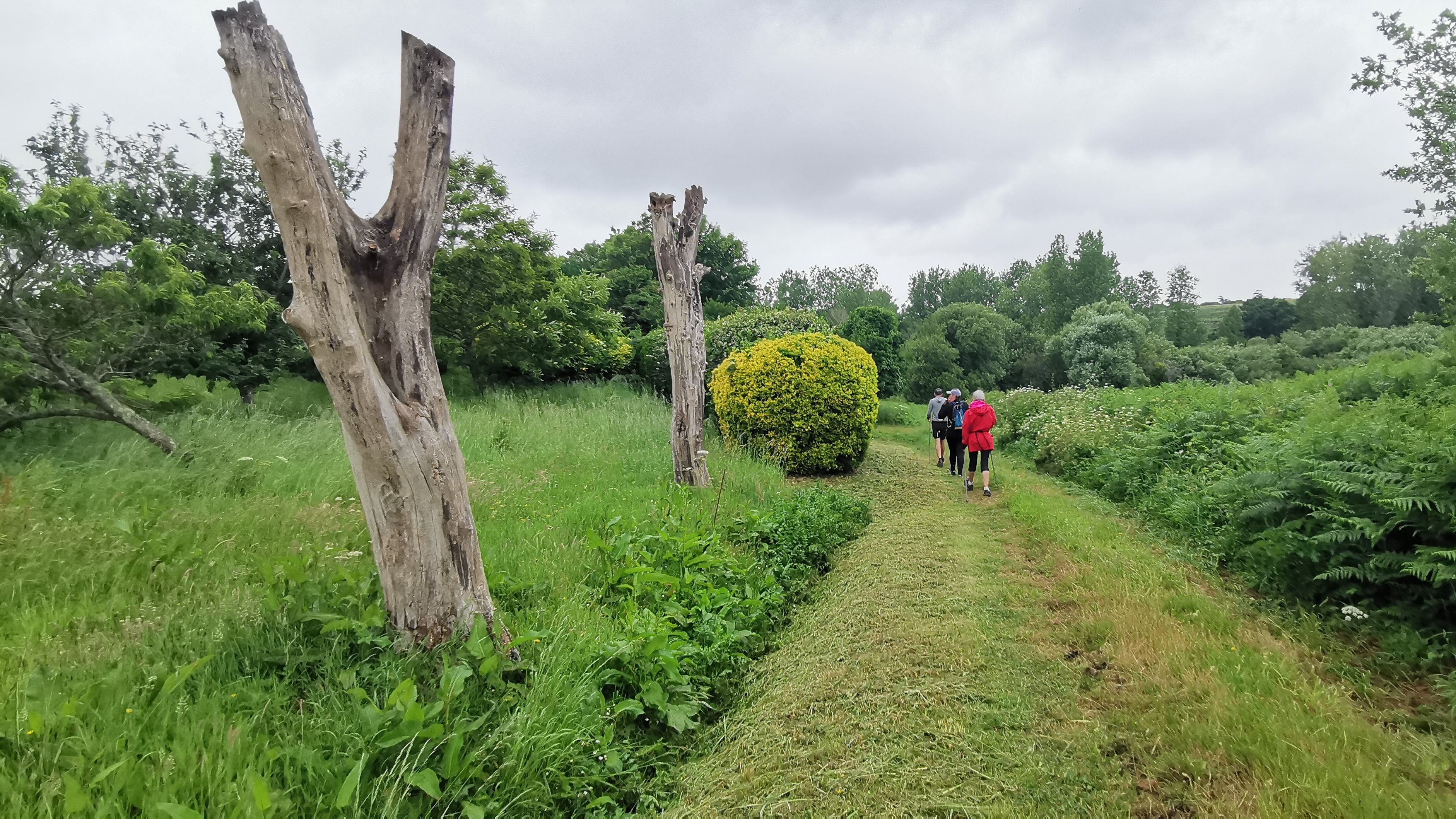 150-IMG_20210620_113231