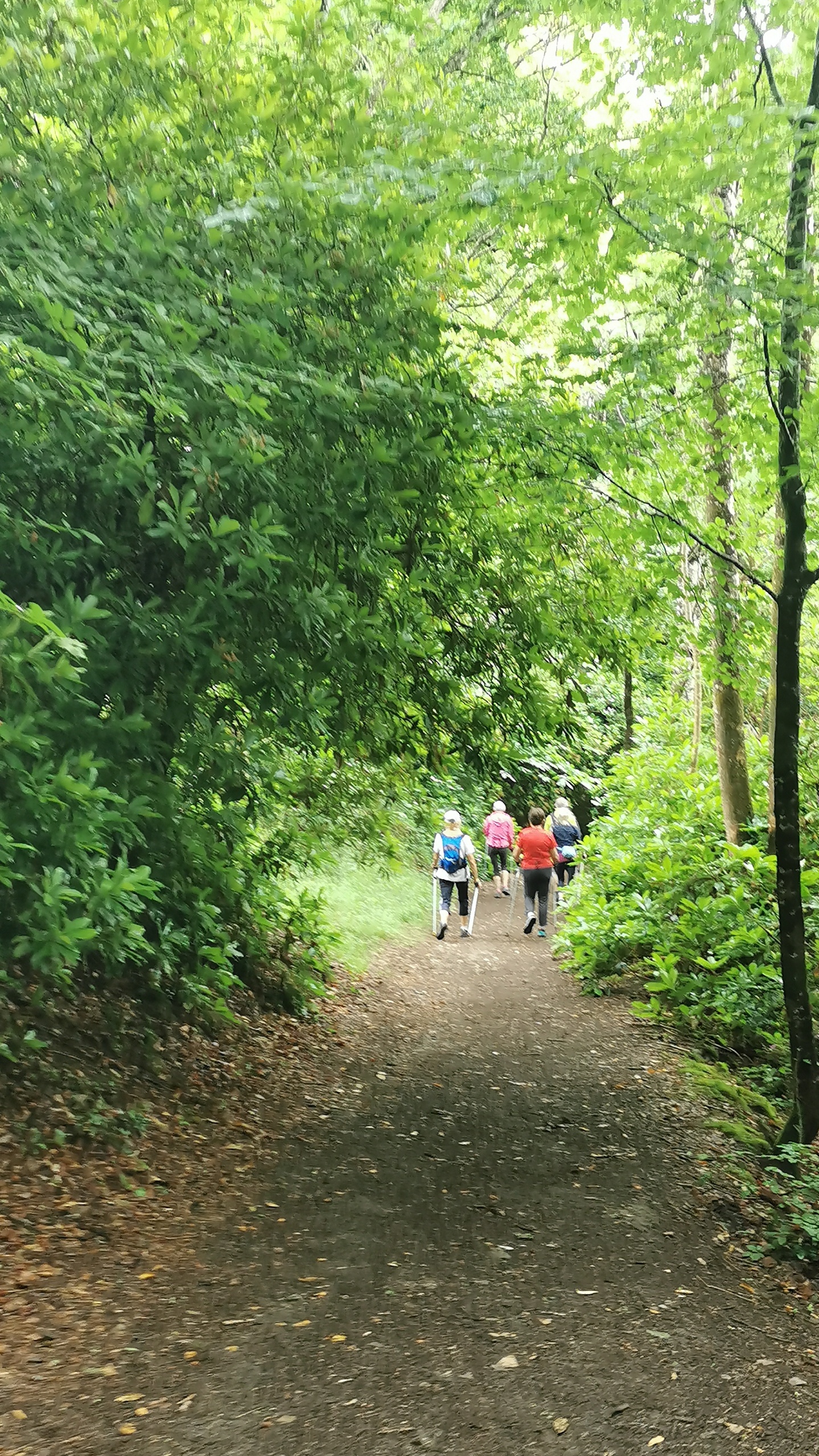 44-IMG_20210617_112246_2