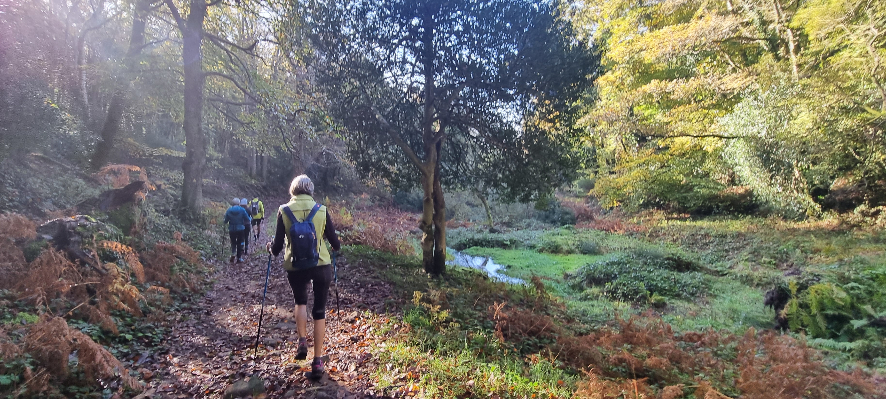 48-20211111_112705(0)