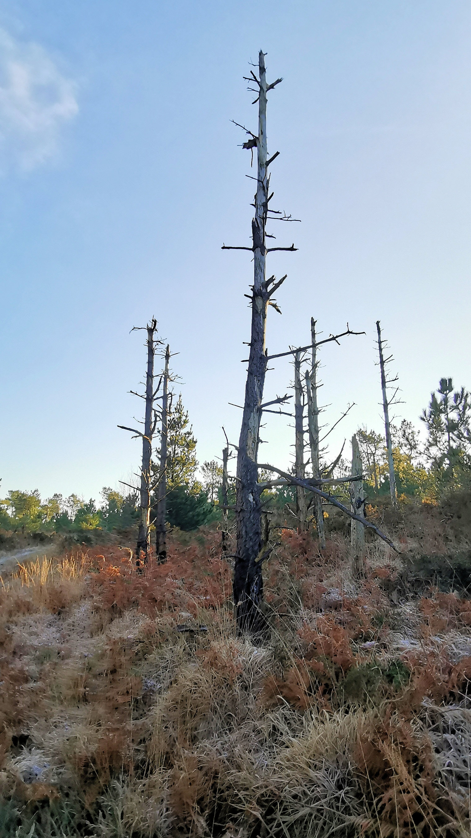 075-IMG_20210110_104745