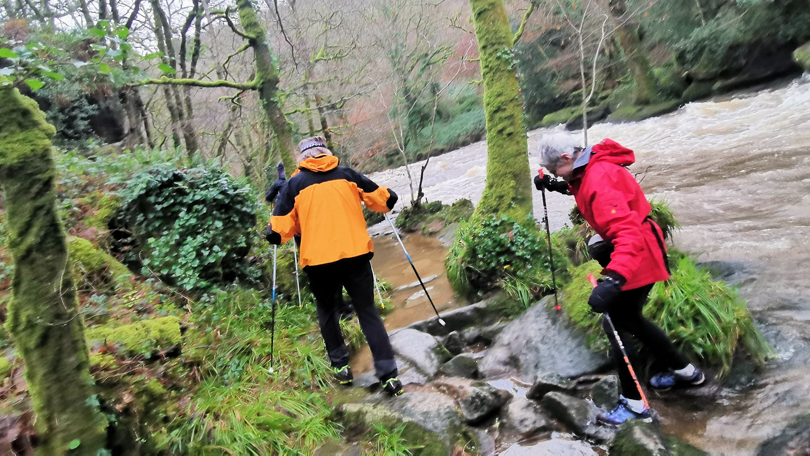 11-IMG_20210121_100517