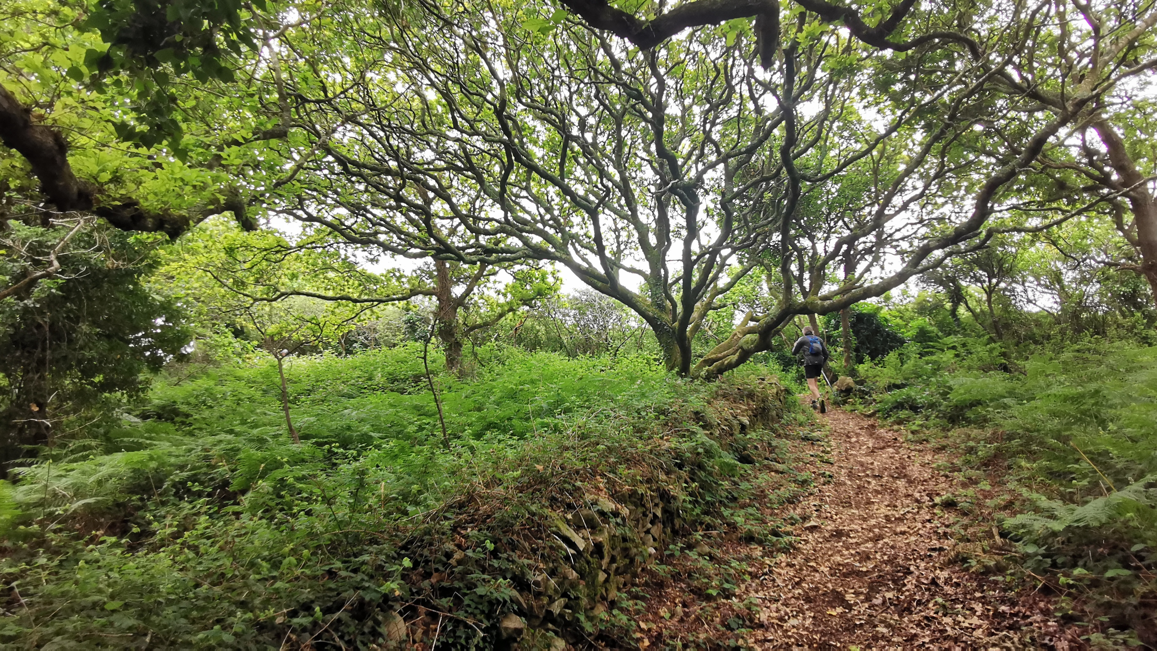 126-IMG_20210620_110746