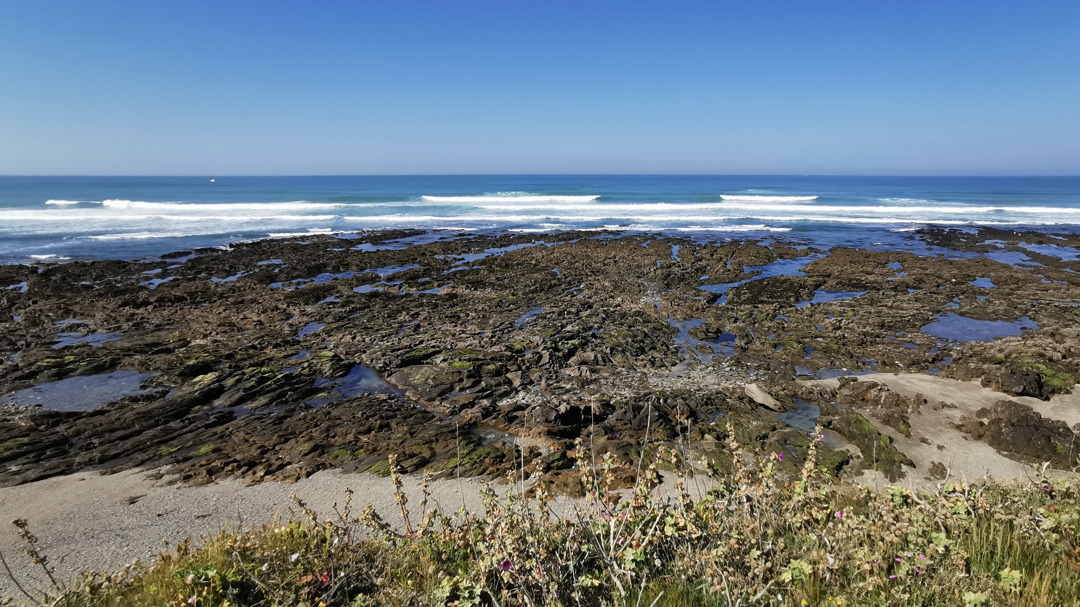 47-IMG_20210530_110940