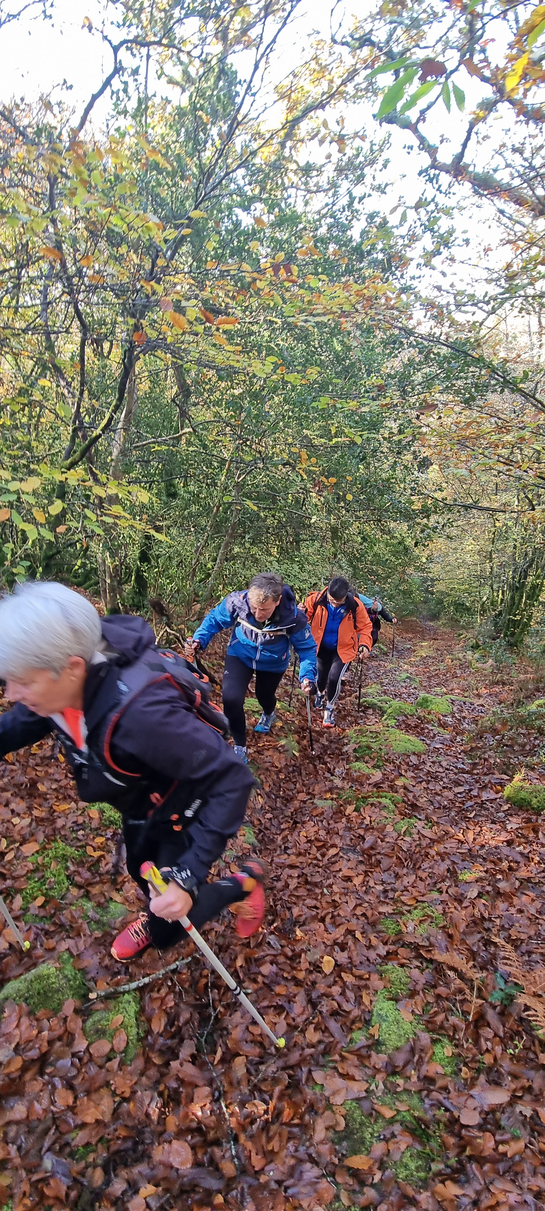 37-20211111_110933(0)