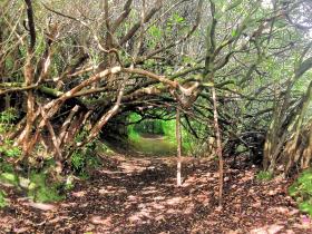 17-IMG_20210522_104845