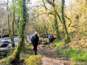 66-IMG_20210307_104720_1