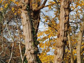 59-IMG_20191202_105551
