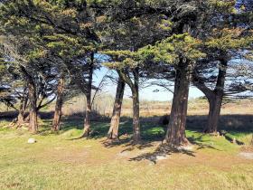 41-IMG_20210403_111254_1