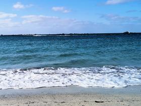 54-IMG_20210403_112008