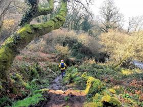 50-IMG_20210307_103925