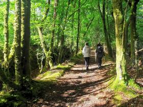 01-IMG_20210522_100807