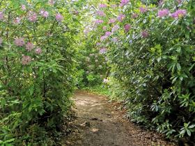 09-IMG_20210522_104648_1