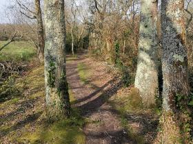 35-IMG_20210309_111120