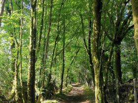 16-IMG_20210531_103349