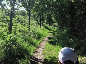 33-IMG_20210531_105236