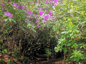 16-IMG_20210522_104840