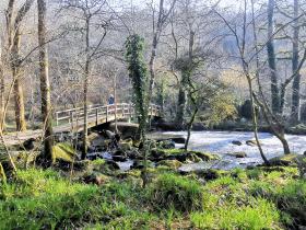 52-IMG_20210307_104104