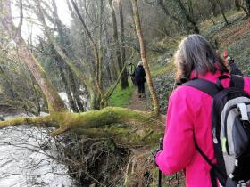 16-IMG_20210307_100302