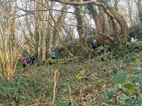 44-IMG_20210307_103706