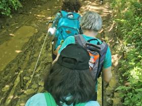 54-IMG_20210531_112221_1