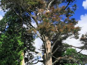 23-IMG_20210522_105234