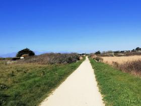 27-IMG_20210403_104520