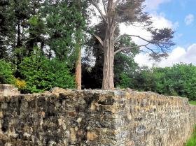 22-IMG_20210522_105207