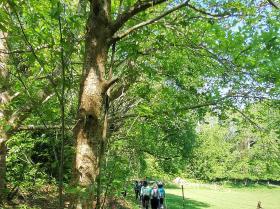 47-IMG_20210531_111446