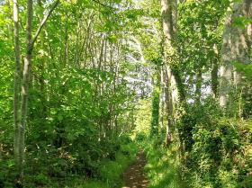 31-IMG_20210531_105118