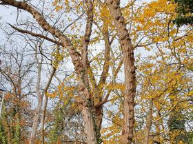 58-IMG_20191202_105541