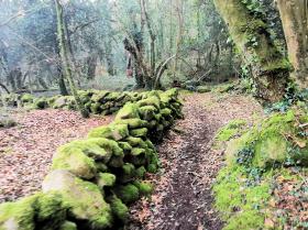 19-IMG_20210307_100936