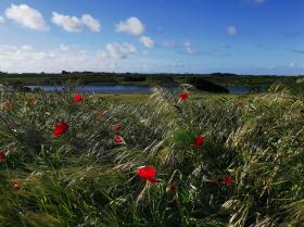 48-IMG_20210523_090938