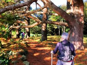083-IMG_20191020_111107