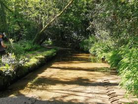 12-IMG_20210531_102243