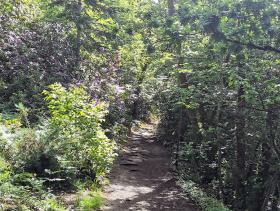 07-IMG_20210522_104509