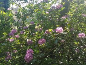 06-IMG_20210531_095956