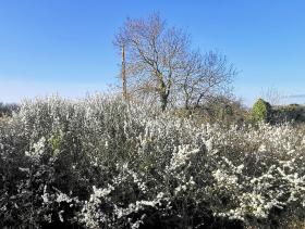 13-IMG_20210403_101007