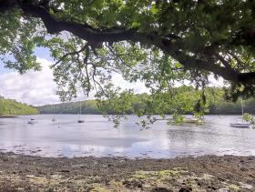 13-IMG_20210522_104735_1