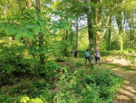 20-IMG_20210531_103750