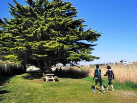 28-IMG_20210403_104756