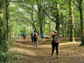 52-IMG_20210608_191123