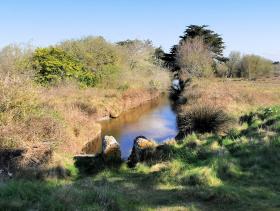 48-IMG_20210403_111554