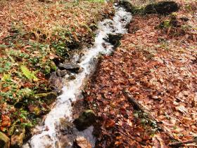 07-IMG_20200210_101208
