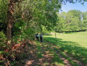 48-IMG_20210531_111450