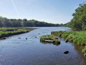 41-IMG_20210531_105948